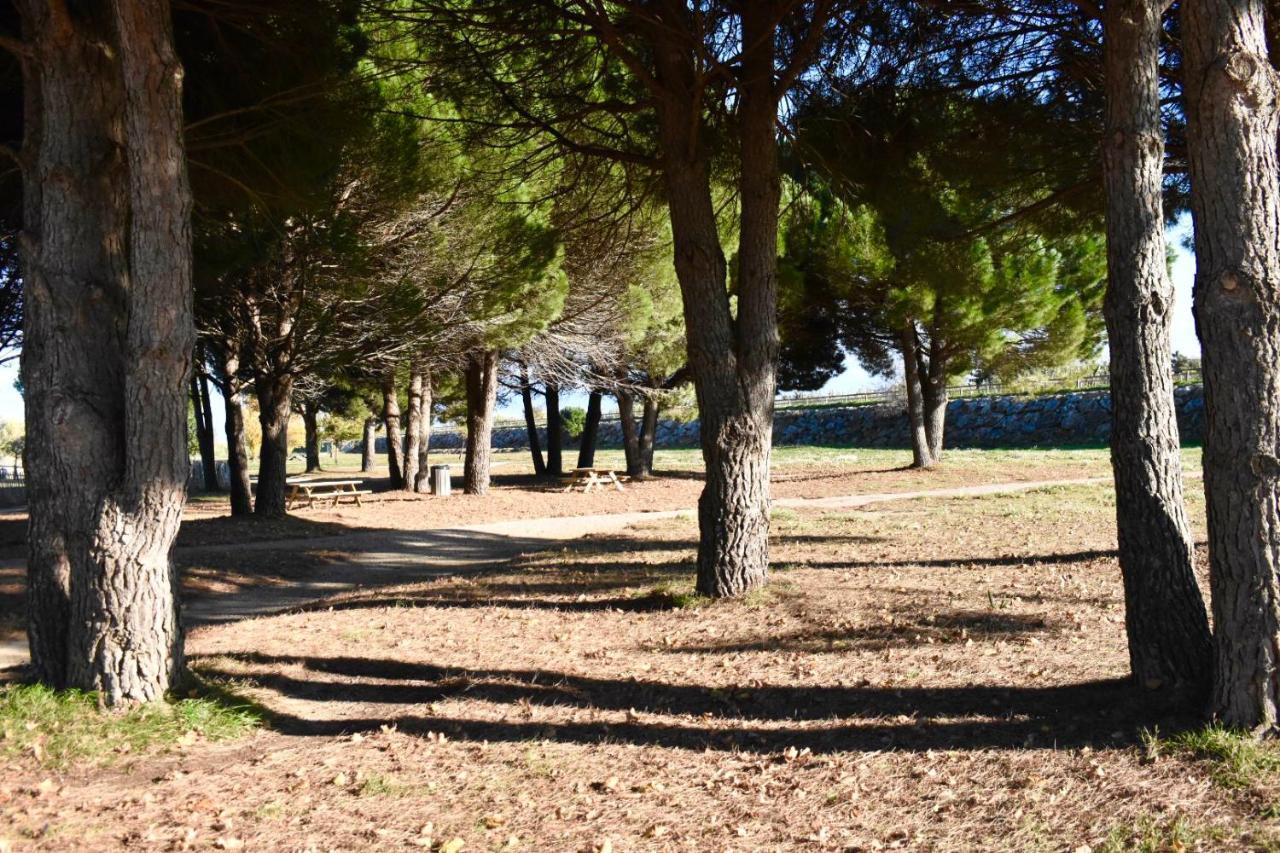 La Solana Villa Saint-Laurent-de-la-Salanque Buitenkant foto